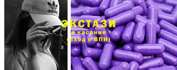 шишки Кодинск