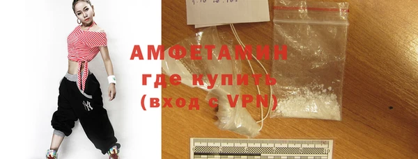 шишки Кодинск