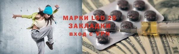 шишки Кодинск