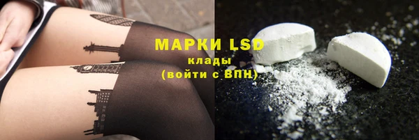 шишки Кодинск