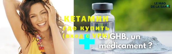 шишки Кодинск