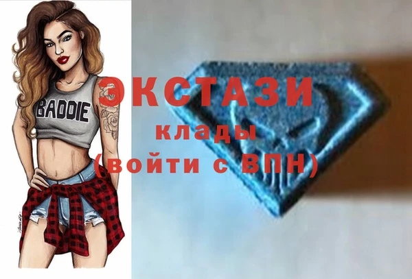 шишки Кодинск